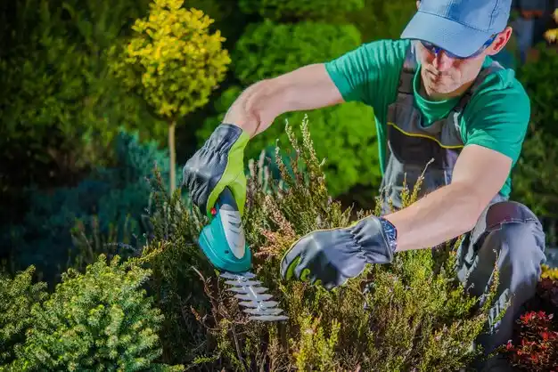 landscaping services Piermont